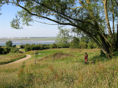 Guy Delobel : Baie de Somme