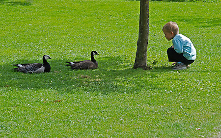 André Planès : Parc Paradisio