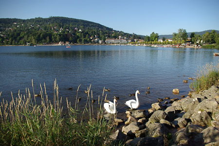 Guy Delobel : Vosges