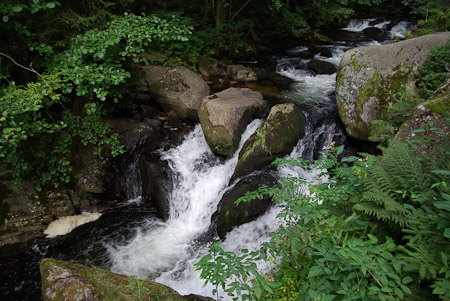 Guy Delobel : Vosges