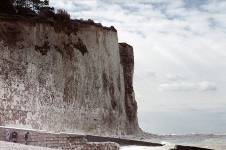 D. Sartorius : Côte d'albatre
