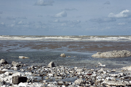 D. Sartorius : Côte d'albatre