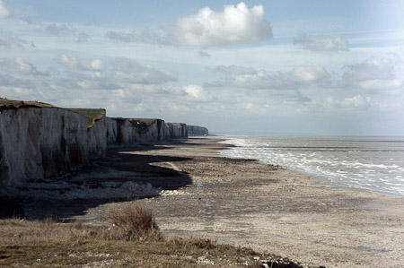 D. Sartorius : Côte d'albatre